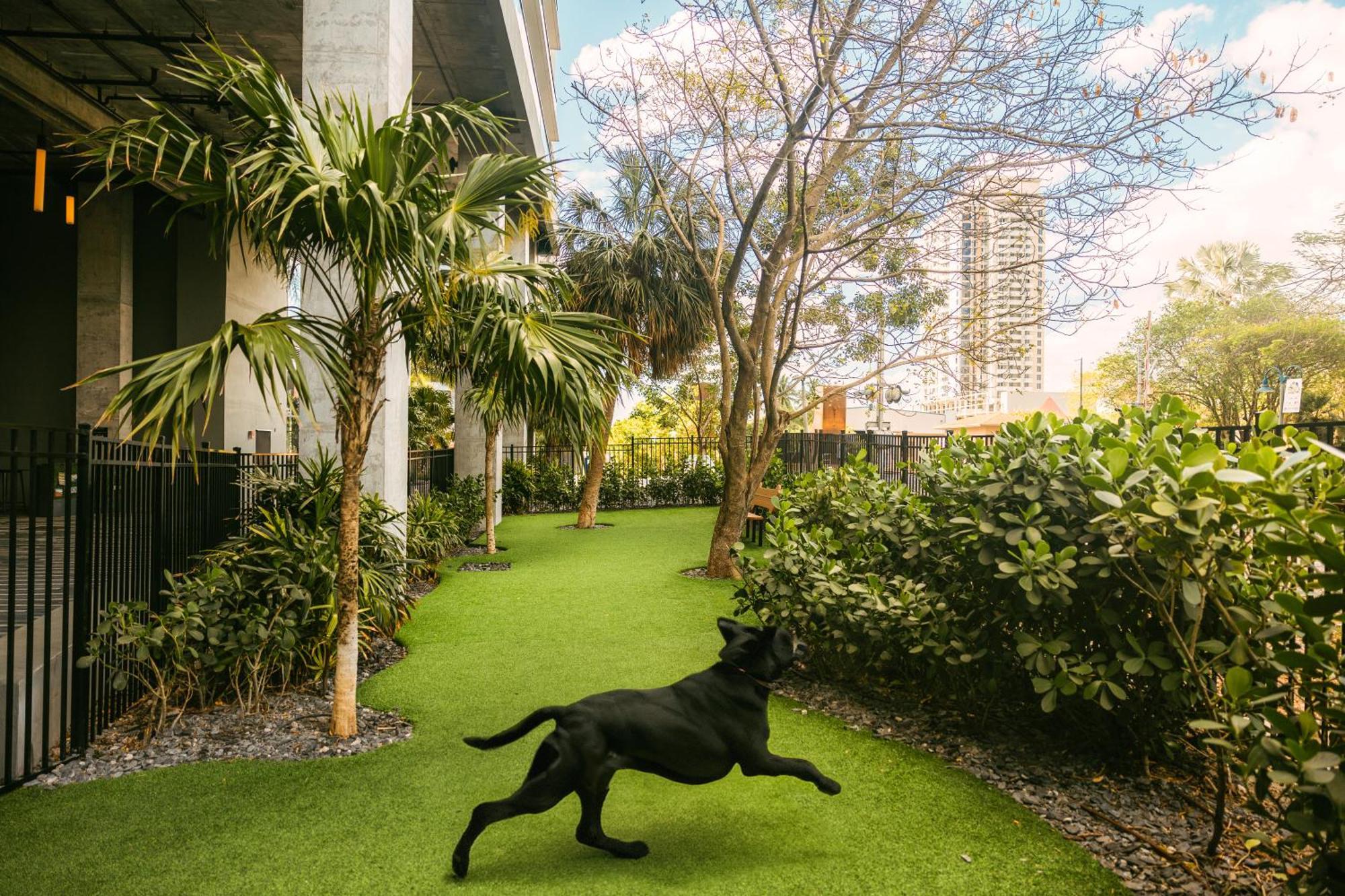 Flow Fort Lauderdale Hotel Zewnętrze zdjęcie